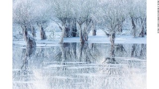 伊写真家が撮影した湖の冬景色