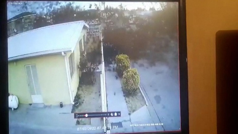 メキシコ北西部チワワ州で、群れで飛んでいた渡り鳥が突然、空から大量に落下してくる出来事があった
