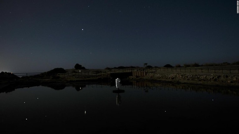 冬の星空が人工池の水面に映し出される様子/Lorenzo Nigro