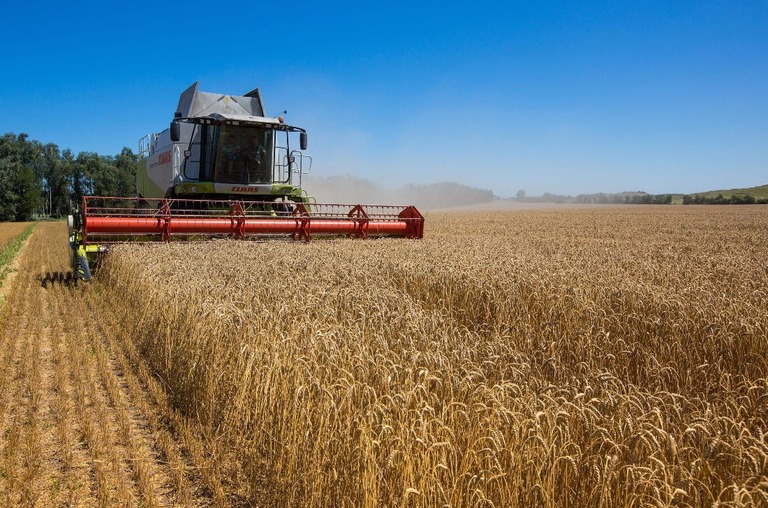 ウクライナ西部、フメリニツキー州での小麦の収穫＝２０１３年/Inna Sokolovskaya/AFP via Getty Images