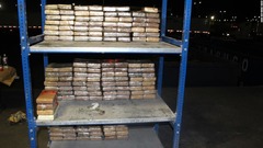 張り子細工に隠したコカイン発見、末端価格４億円　米テキサス州