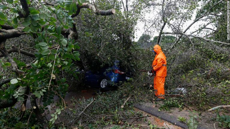 パインタウンで倒木の枝を切る自治体職員＝１２日/Phill Magakoe/AFP/Getty Images