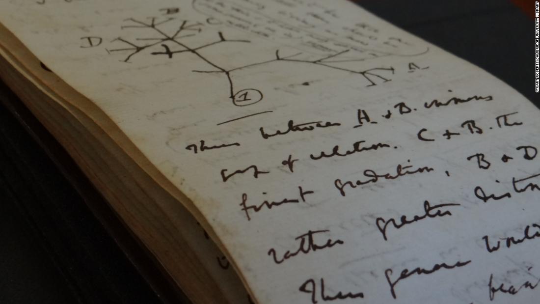 自然科学者チャールズ・ダーウィンの書き込みのあるノート２冊が、匿名で返還された