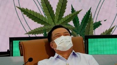 タイ政府、大麻草１００万本を全土の世帯に無料配布