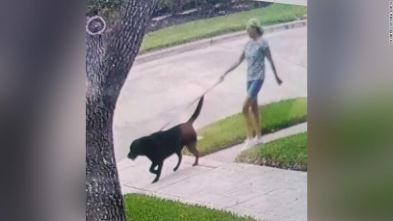 飼い犬の鳴き声、行方不明女性発見の手掛かりに　米テキサス州