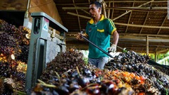 インドネシア、パーム油の輸出禁止解除へ　食品価格安定にわずかな希望か