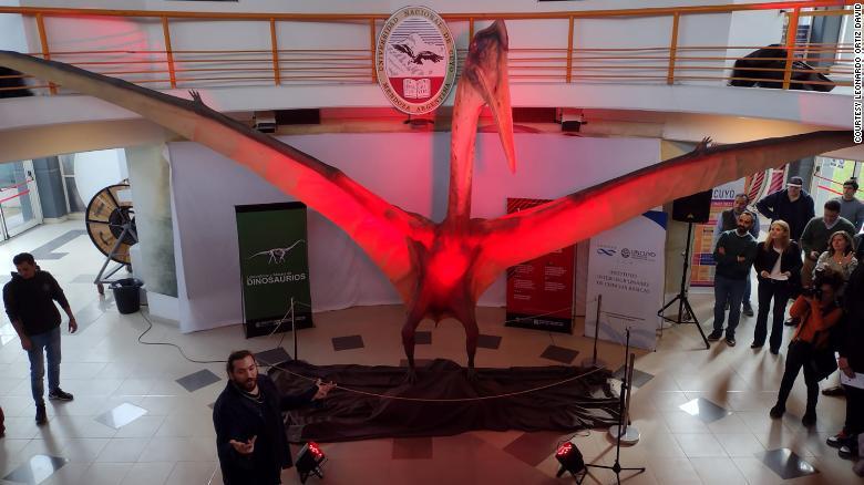 この翼竜の実物大模型がメンドサの恐竜研究所・博物館に展示されている/Courtesy Leonardo Ortiz David
