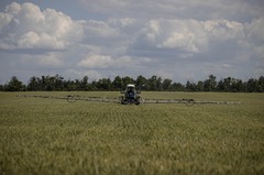作物の種まき終えた農地は２５％減、侵攻の影響　ウクライナ