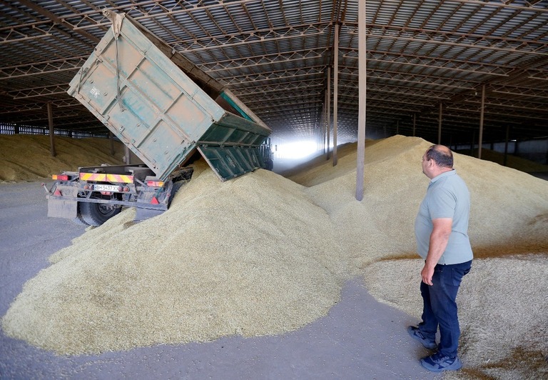 ウクライナ・オデーザの穀物倉庫＝６月２２日/NurPhoto/Getty Images