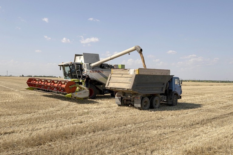 穀物を収穫する農業者＝４日、ウクライナ・オデーサ（オデッサ）
/Metin Aktas/Anadolu Agency/Getty Images