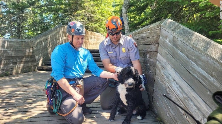 救助されたオスのミックス犬「レオ」/National Park Service