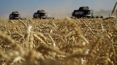 トルコ大統領、ロシア・ウクライナ首脳と電話会談　穀物輸出巡り