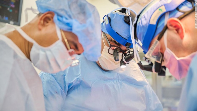 米ニューヨーク大学ランゴーン医療センターの研究者は、遺伝子操作したブタの心臓を脳死した男性に移植する手術を行ったと発表した/Joe Carrotta for NYU Langone Health