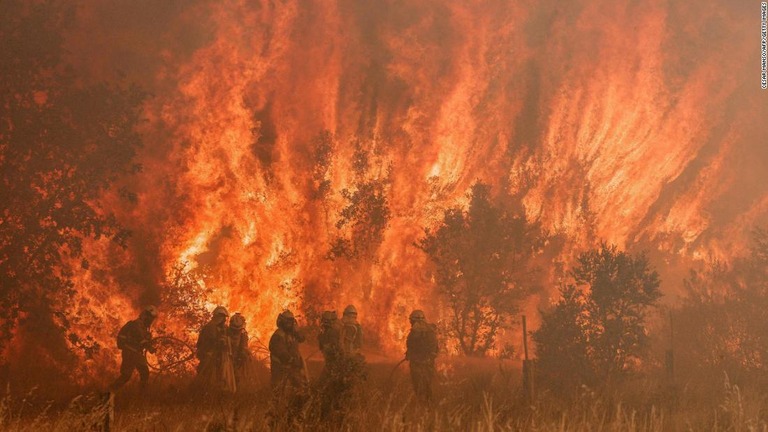 山火事の消火活動に当たる消防士ら＝６月１８日、スペイン北部サモラ近郊/Cesar Manso/AFP/Getty Images