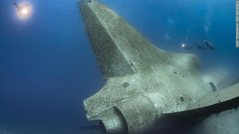 海の中で３年が経過した機体の翼は、現在数多くの軟質サンゴを保護する役割を果たす/Brett Hoelzer/@bubba_aqaba
