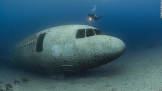 ３年前に紅海に沈められた旅客機の現在の姿を水中写真家が撮影