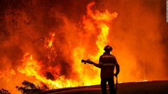 欧州を襲う異常な熱波、死者千人超　干ばつが拍車、森林火災相次ぐ
