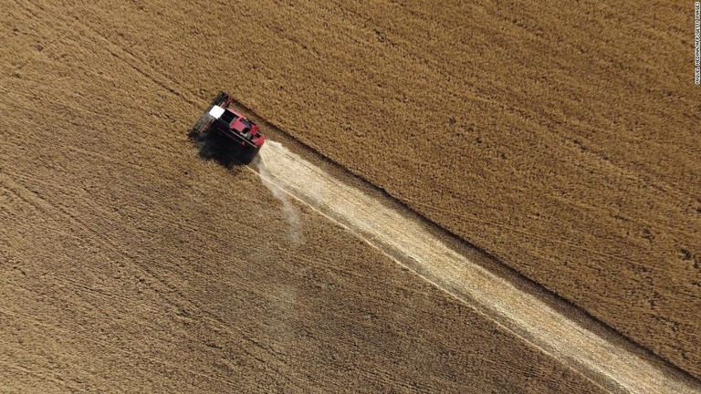 農業者が小麦を収穫する様子＝７日、ウクライナ東部ドネツク州クラマトルスク近郊/Miguel Medina/AFP/Getty Images