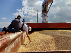 ウクライナ穀物貨物船、トルコでの検査完了