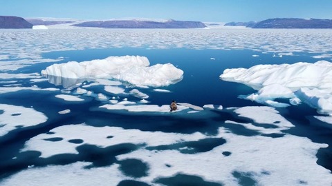 氷の消えゆくグリーンランド、鉱物探査に大富豪らが熱視線