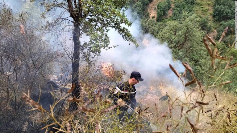 山火事の消火に当たる消防隊員＝１７日、アルジェリア・セティフ
/Algerian Civil Defense/Anadolu Agency via Getty Images