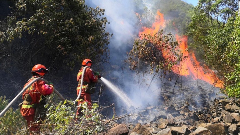 山中の火災現場で消火活動に当たる消防士ら/VCG/Getty Images