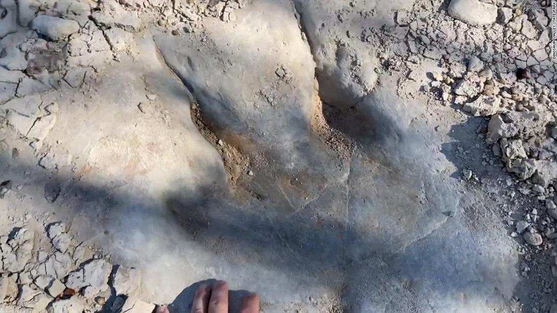 通常の気象条件では川底の恐竜の足跡は水中にあり堆積(たいせき)物に覆われている/Dinosaur Valley State Park