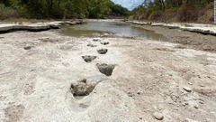 １億１３００万年前の恐竜の足跡、干ばつで干上がった川から次々に発見　米テキサス州