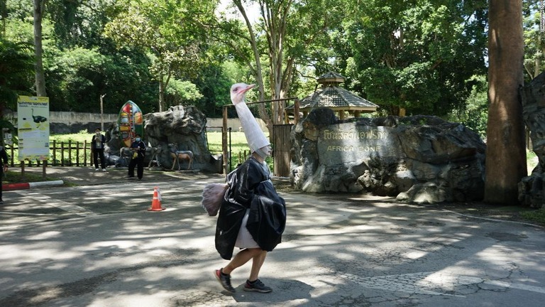 ダチョウに扮し、逃げた動物の役割をこなす男性/Chiang Mai Zoo