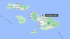 ５１歳のフランス人女性、サメに襲われ重体　米ハワイ・マウイ島