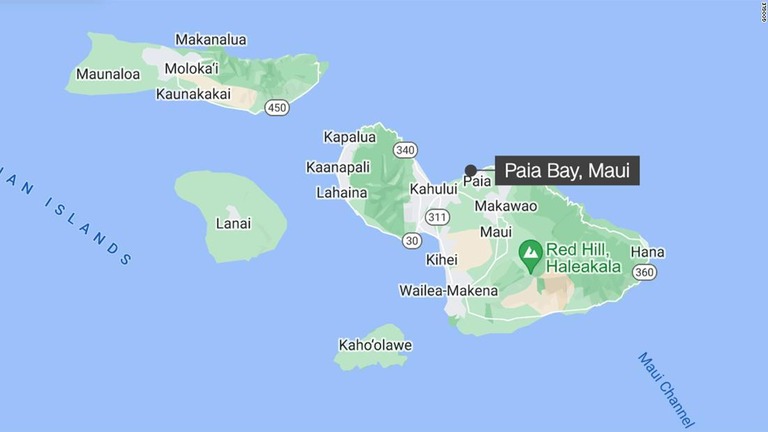 女性はパイア湾の海岸から約１２メートル沖合でサメに襲われたという/Google