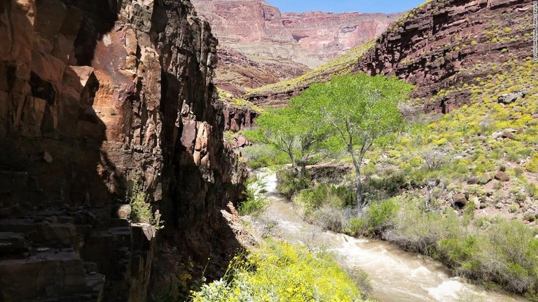 猛暑に見舞われた米グランドキャニオンで、ハイキング中の女性が死亡した/E. Foxx/National Park Service