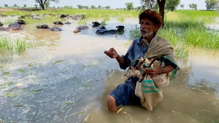 ひざまで泥水につかり話す住民の男性＝６日、マンチャール湖付近/Javed Iqbal/CNN