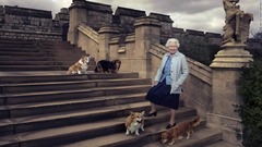 英エリザベス女王が愛したコーギー犬２頭、アンドルー王子と元妻が引き取り
