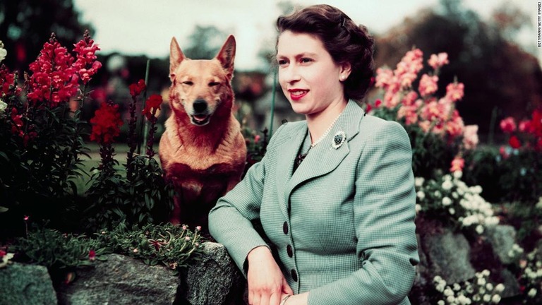 コーギー犬とともに写真に写るエリザベス女王＝１９５２年、スコットランド・バルモラル城/Bettmann/Getty Images