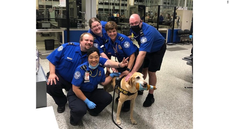 コンテストで「最も可愛い犬」に選ばれた運輸保安庁（ＴＳＡ）の探知犬「エバーズ」が引退した/TSA