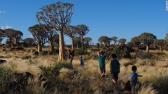 最初に訪れた国、ナミビアで草原を散策