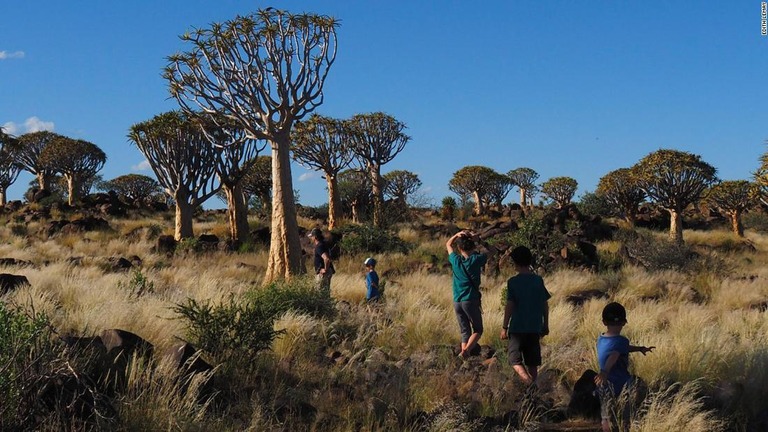 最初に訪れた国、ナミビアで草原を散策/Edith Lemay