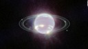 海王星の輪がくっきり、ウェッブ望遠鏡の新画像