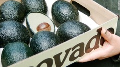 英国のデザイナー兼研究者、アリーナ・ショコウイさんが開発した「エコバド」。環境に優しいアボカドの代替食品だ