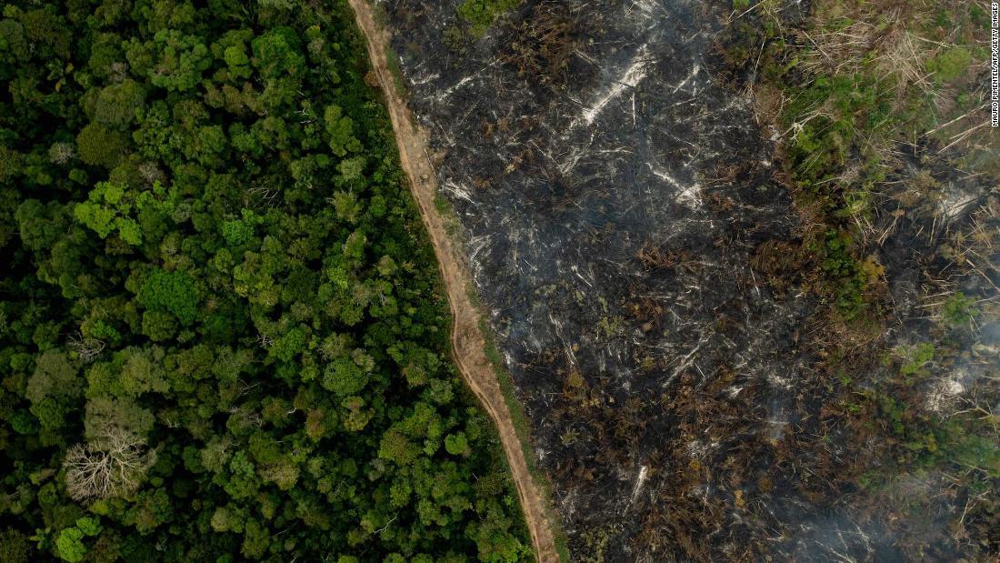 焼失したアマゾン川流域地帯の熱帯雨林＝２０２１年９月/Mauro Pimentel/AFP/Getty Images