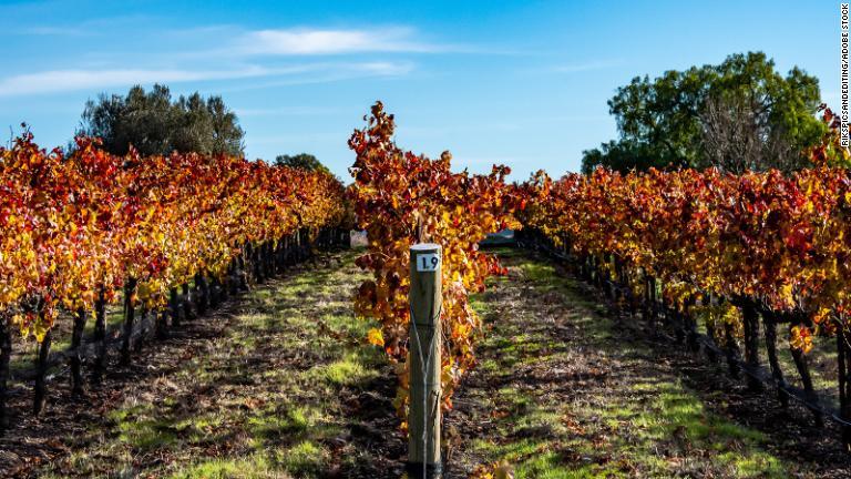 カリフォルニア州サンルイスオビスポ/RiksPicsandEditing/Adobe Stock