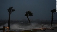 満潮時に強風にあおられるヤシの木＝米フロリダ州ジェンセンビーチ