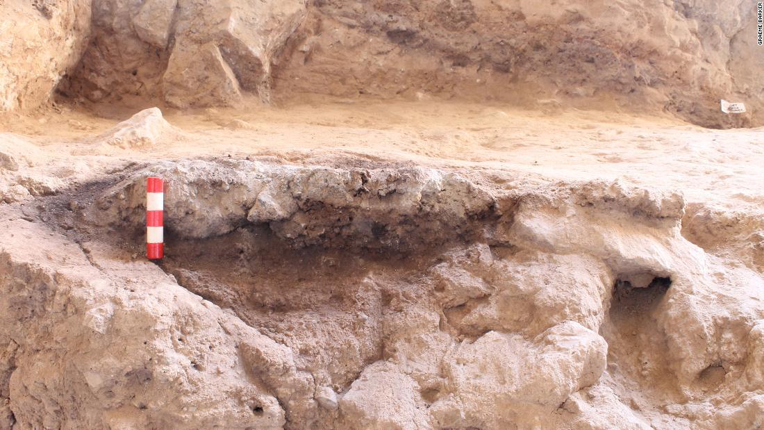 シャニダール洞窟では焦げた植物の残骸と囲炉裏が発掘された/Graeme Barker