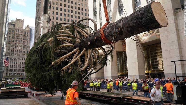 ロックフェラープラザに到着した今年の木＝１２日/Lokman Vural Elibol/Anadolu Agency/Getty Images