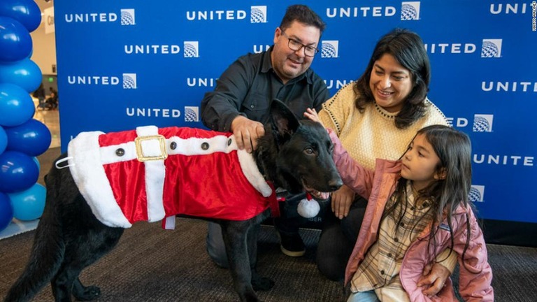 空港で捨てられた「ポラリス」に新たな飼い主が見つかった/United Airlines