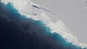 南極西部の急速な融解は「不可避」、海面上昇に壊滅的影響及ぼす恐れ　新研究