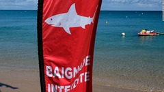 人気観光地にサメ出没、遊泳客が襲われ死亡　ニューカレドニア