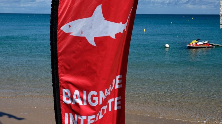 ニューカレドニア観光局は、サメに注意するよう観光客に呼びかけ、監視員のいる区域でしか泳がないよう促している/Theo Rouby /AFP/Getty Images/File
