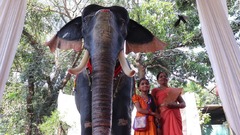 インドの寺院にゾウの実物大ロボット、宗教行事に伴う虐待防止に期待